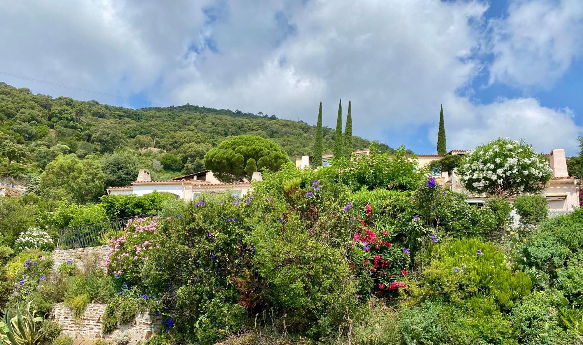 Villa Baievue Cavalaire-sur-Mer Buitenkant foto